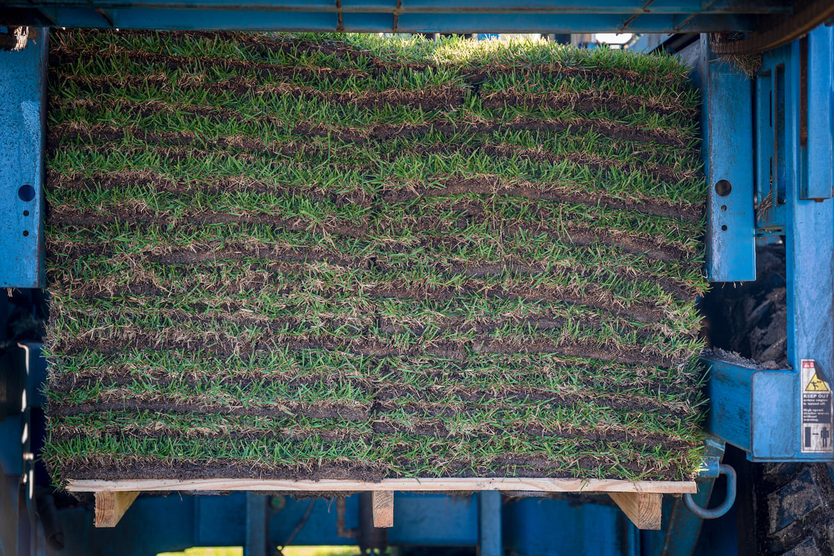 sod harvested from farm stacked on palette