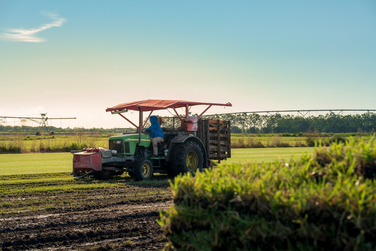 sod farm harvesting 31
