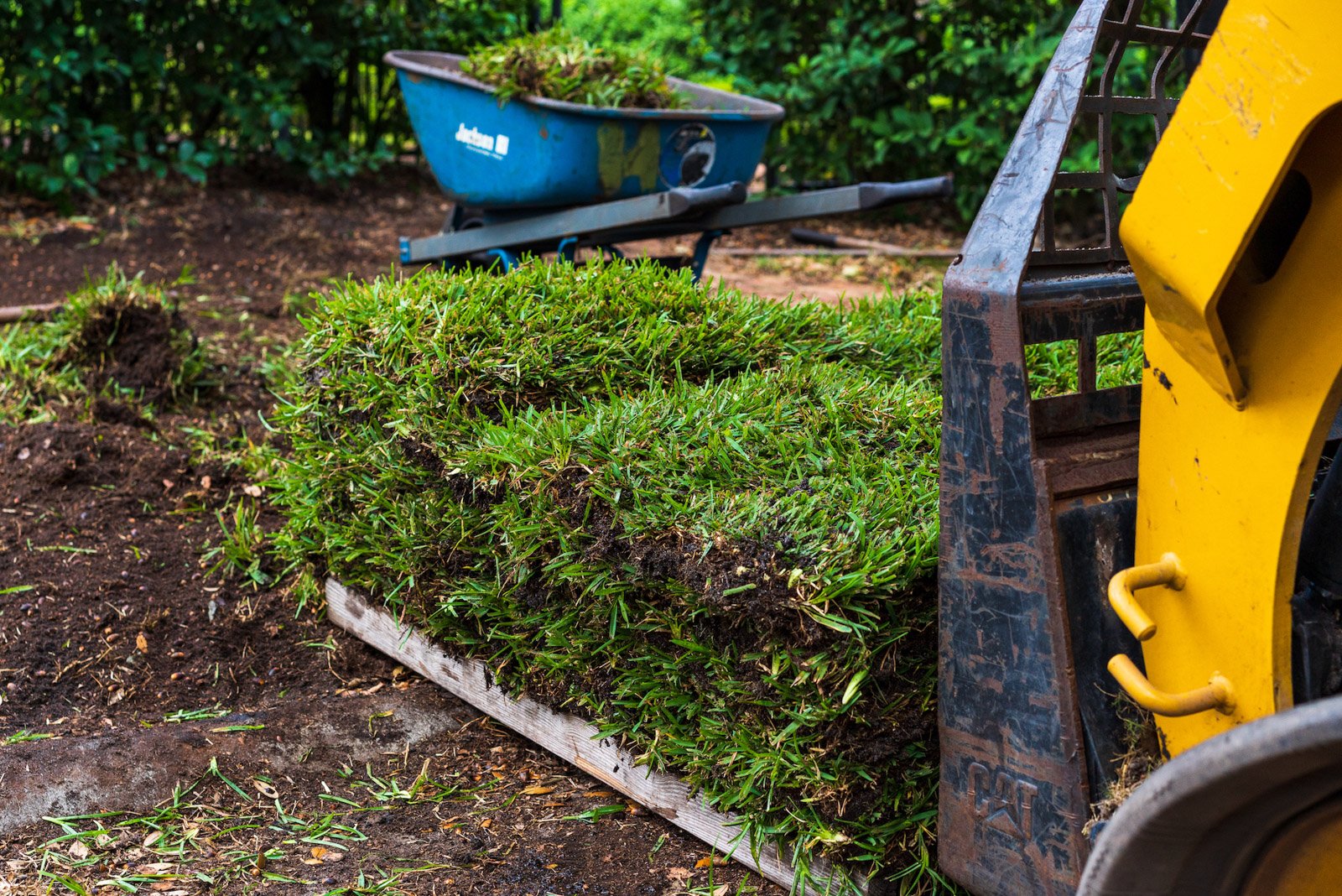 Sod installation