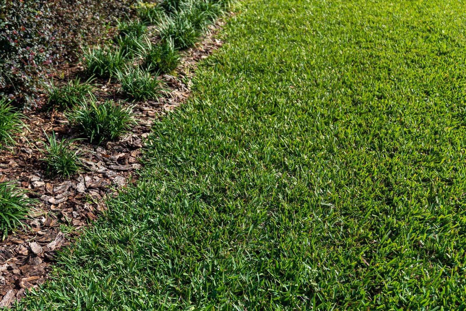 sod installation mulch plantings