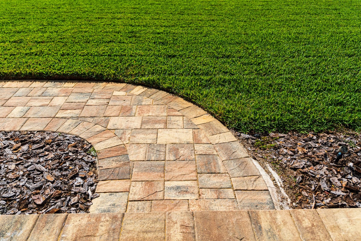 new sod along walkway of home