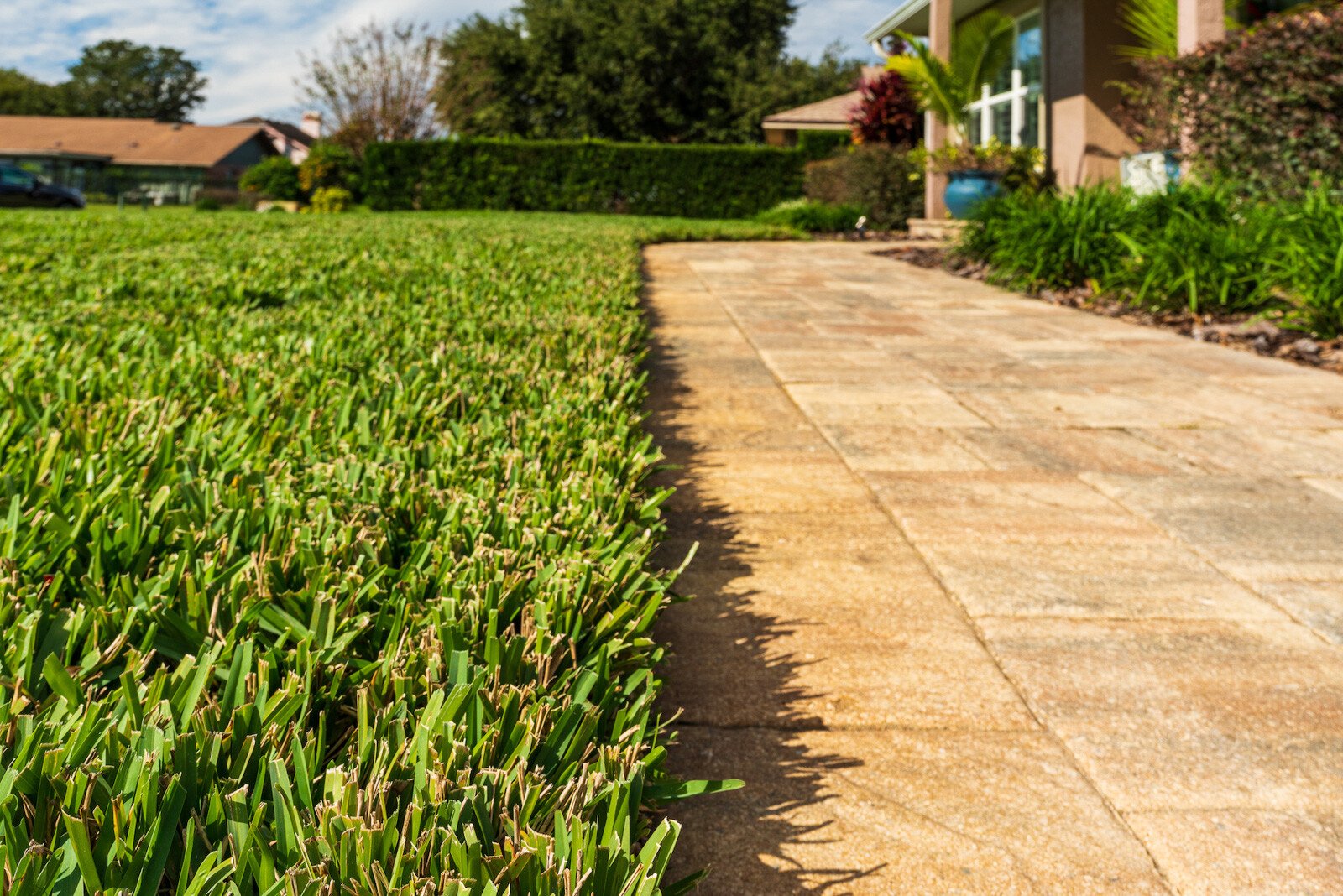 Correct pitch in paver patios and walkways help with drainage