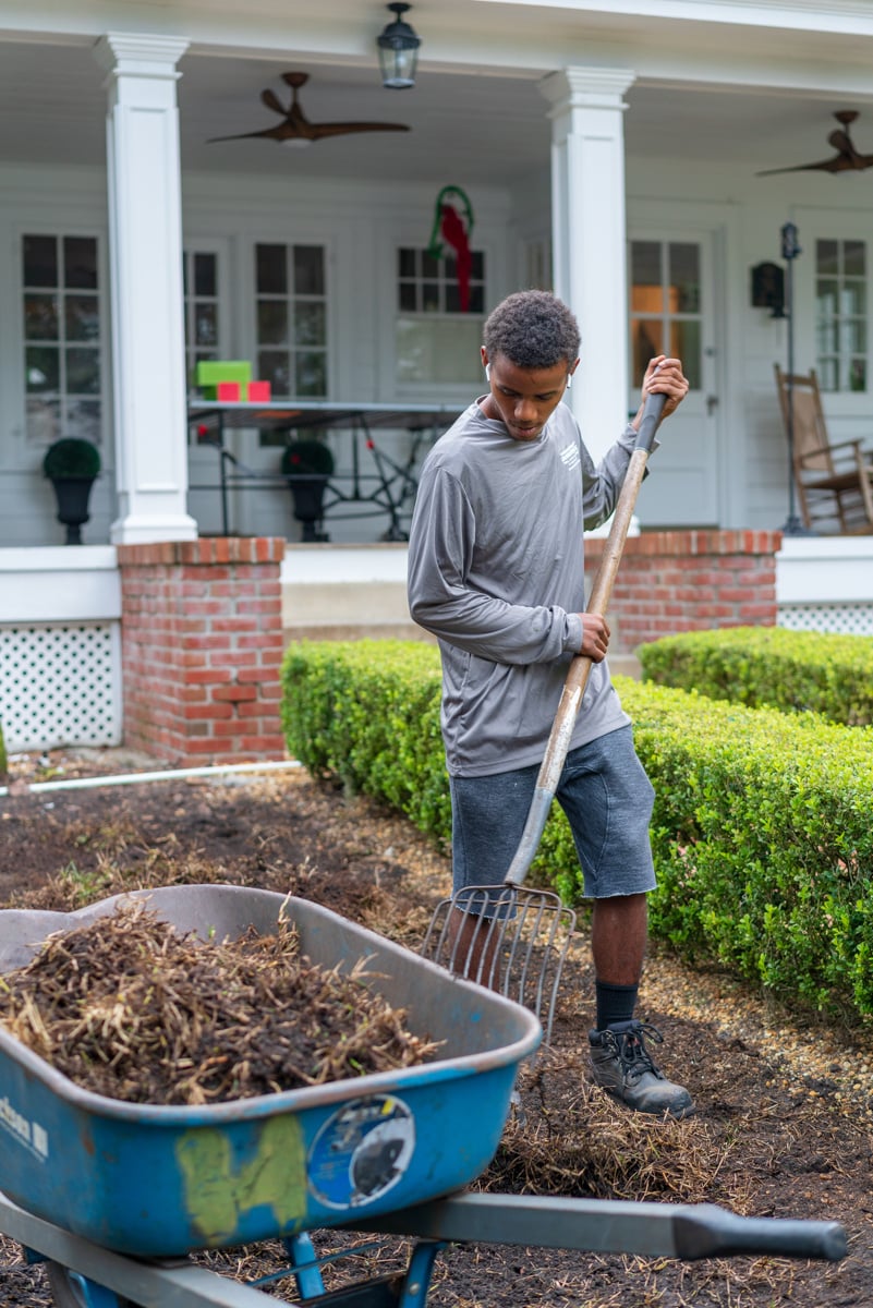 sod installation team rakes up dead weeds and grass