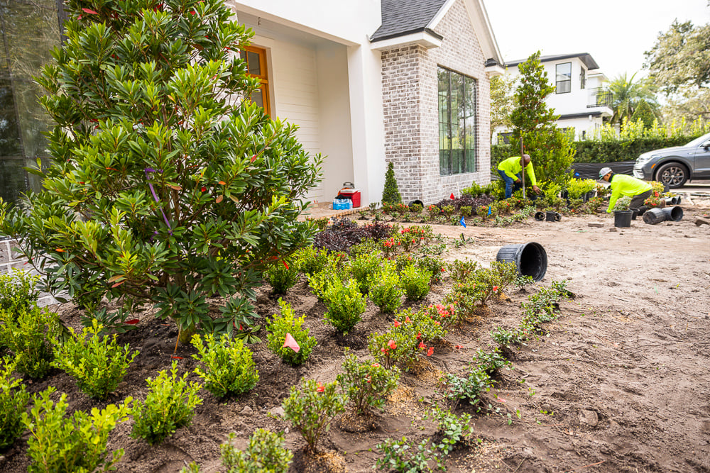 landscape technicians installing planting beds with perennials shrubs and ornamental trees