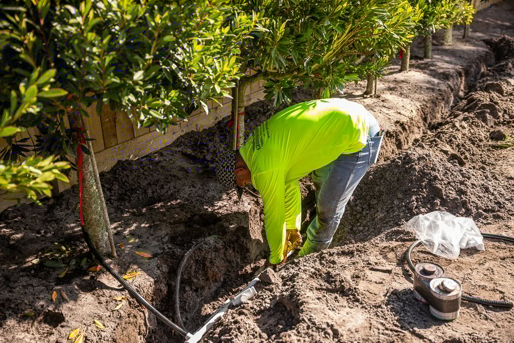 irrigation technicians installing a lawn sprinkler line along new trees