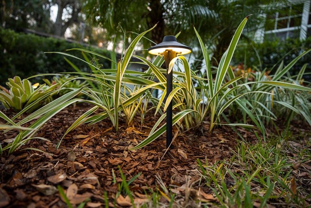 landscape lighting near plantings