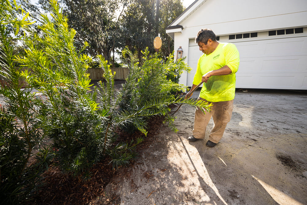 landscape installation technician installing mulch to border planting bed