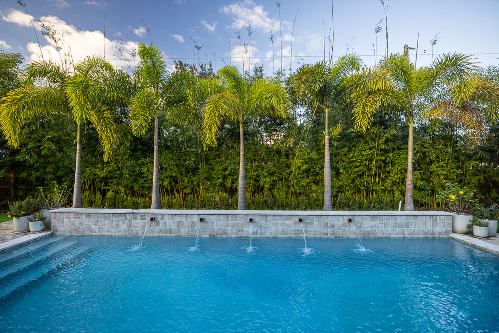 palm trees planted along a pool in an orlando backyard