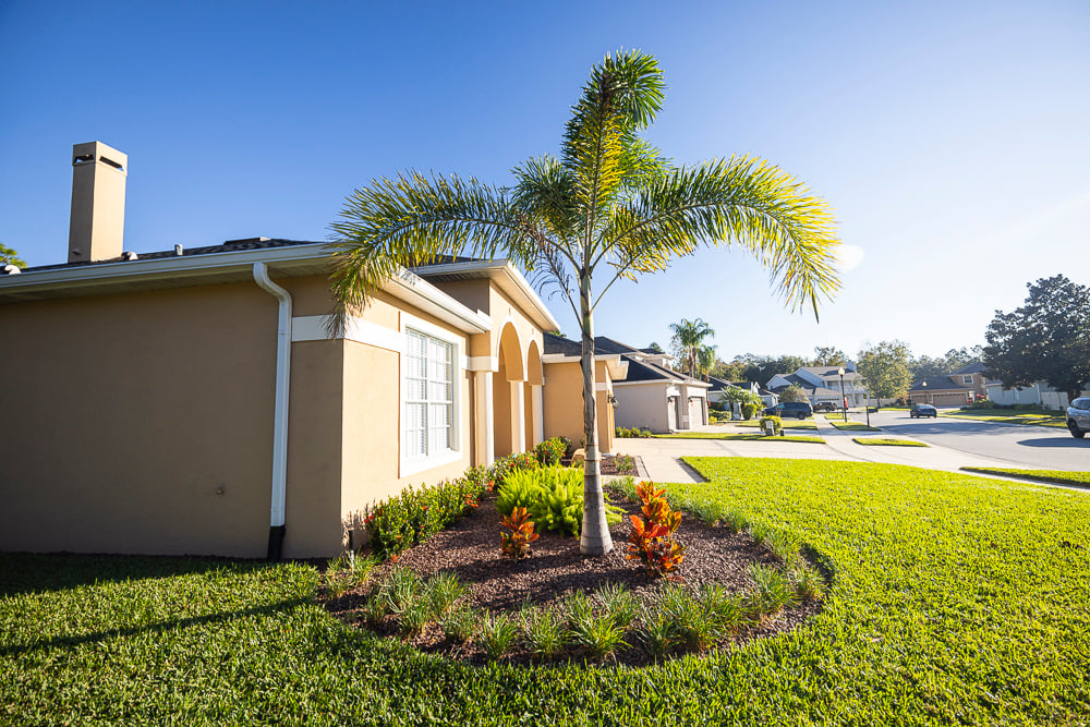 palm tree in landscape bed near entrance of home
