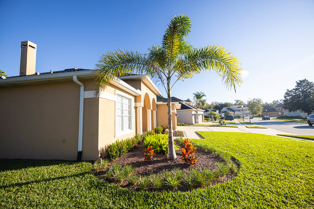 Palm Tree Planting Bed with Perennials 