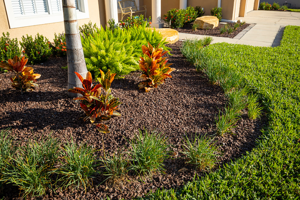 foundation planting bed with palm tree, perennials and annuals along grass edge border