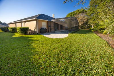 how to care for new sod orlando florida