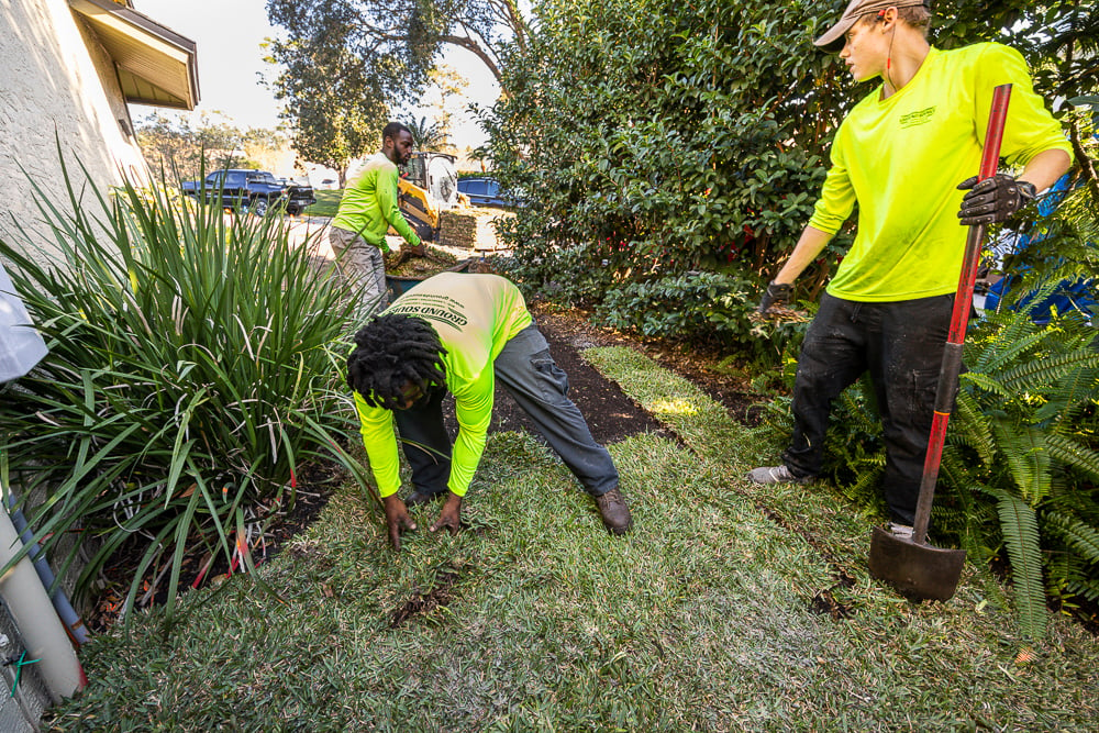 landscape team installs sod