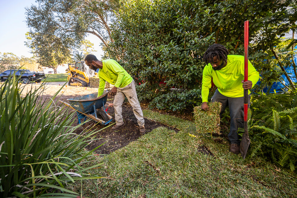 landscape team installs sod