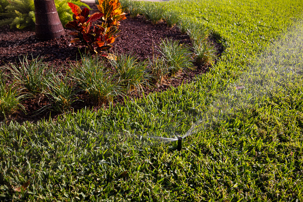 Sod Irrigation Planting Bed