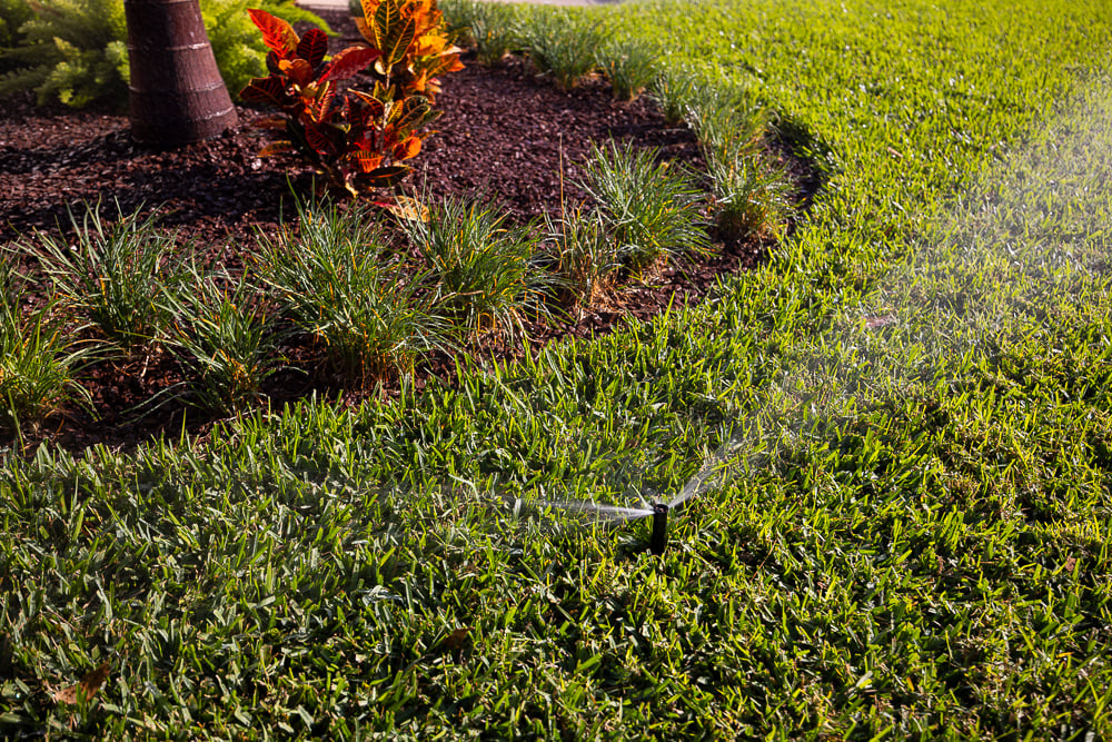lawn sprinkler pop-up head watering a sod lawn and planting bed professional irrigation