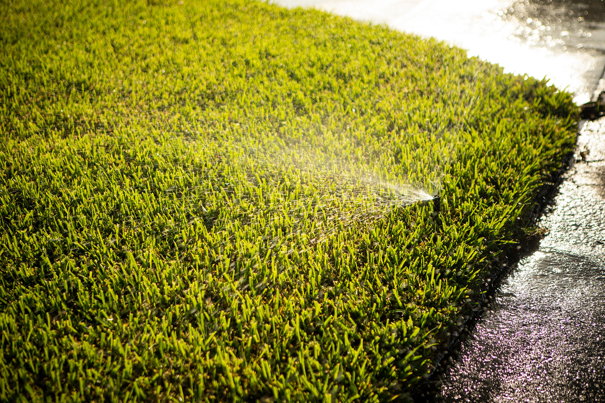 irrigation head spraying lawn in Florida