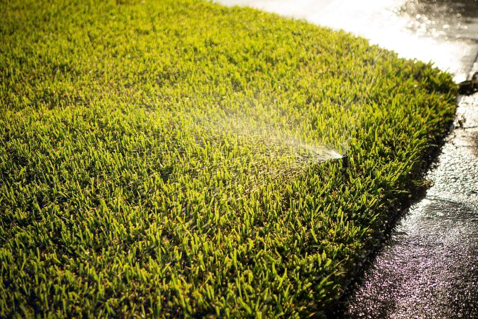 irrigation head spraying lawn in Florida
