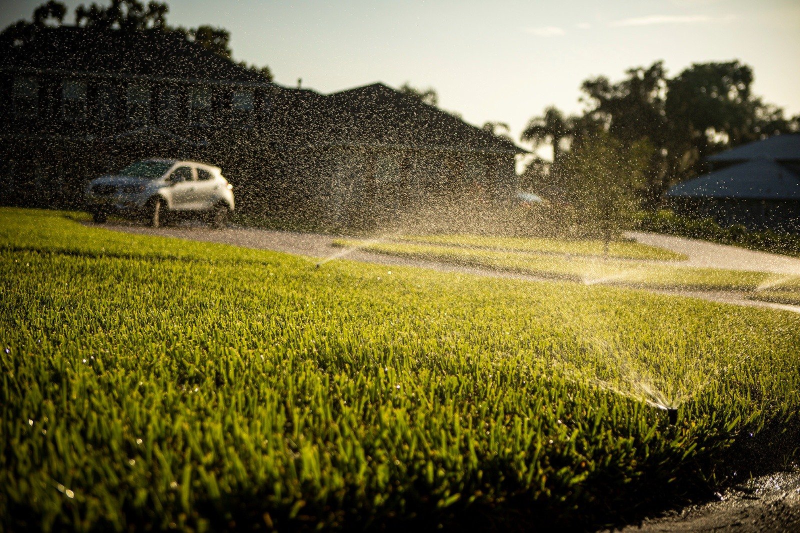 lawn with irrigation spraying