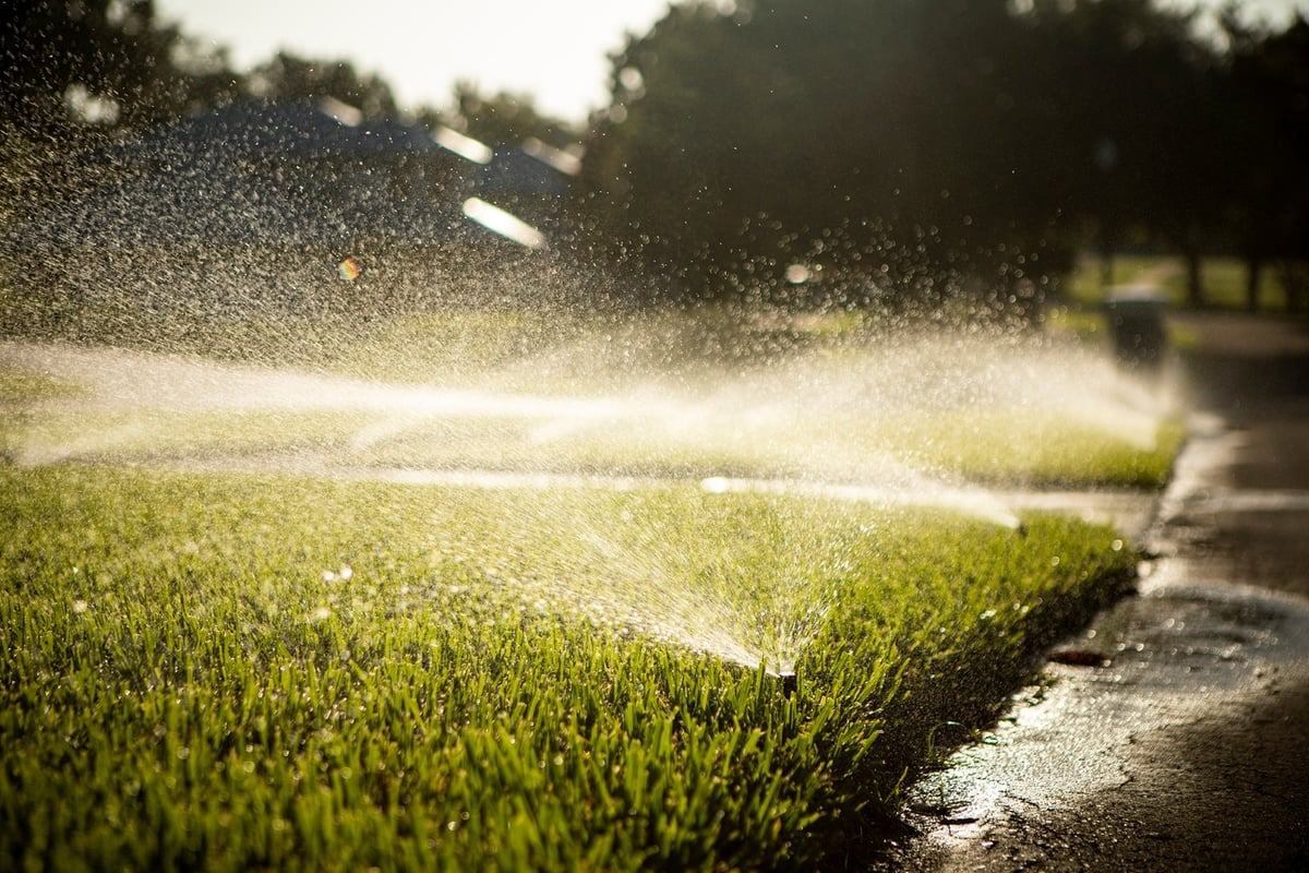 sprinklers watering new St. Augustine sod