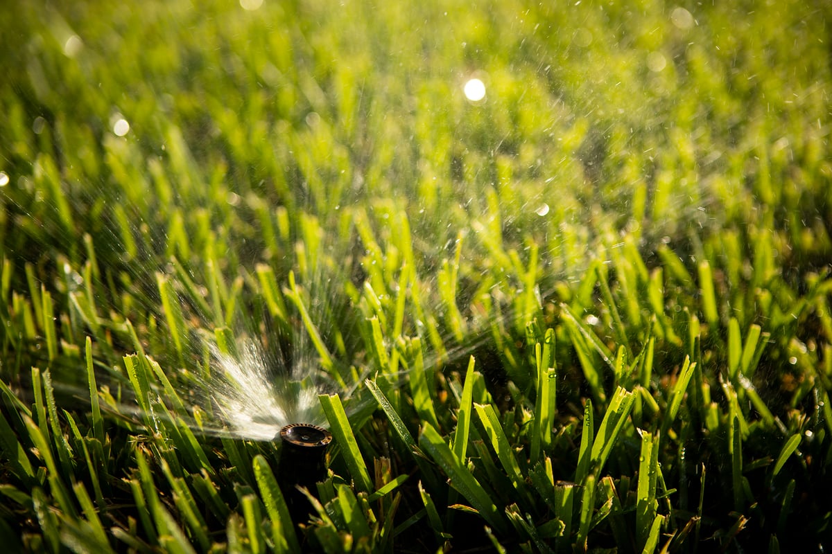 new sod being watered by irrigation system