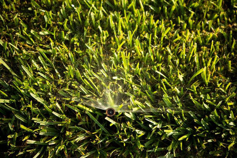 irrigation head spraying grass