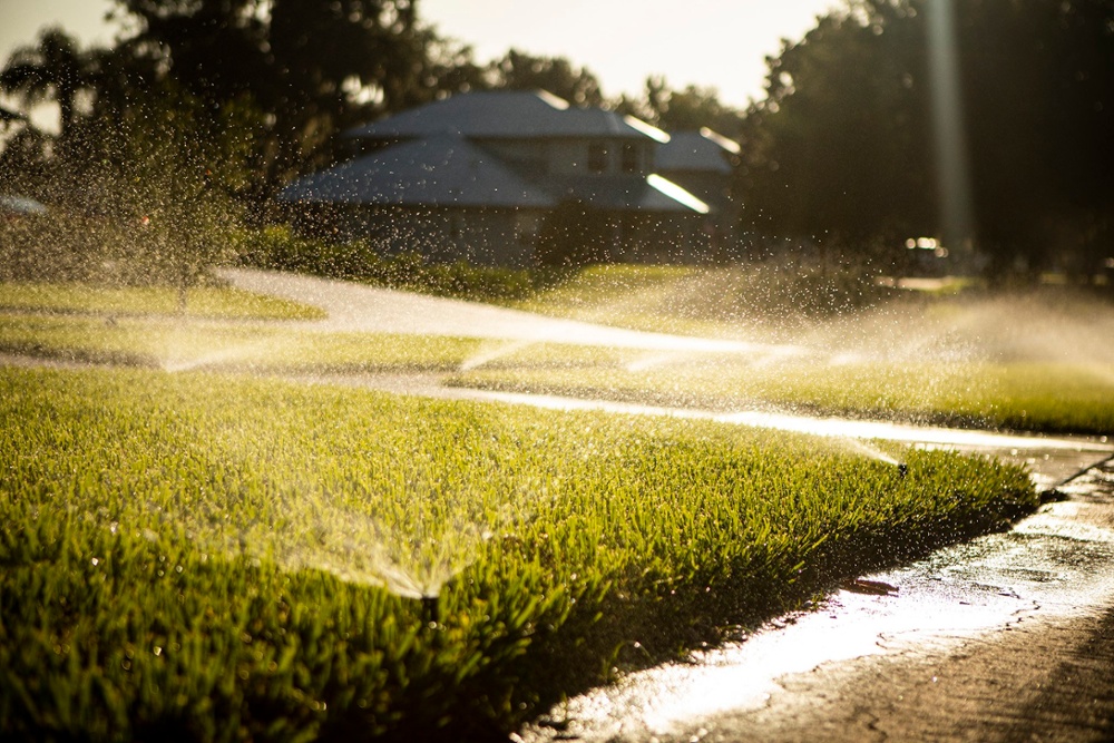 lawn irrigation spraying healthy sod