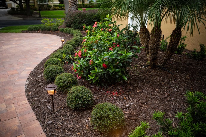 landscape plantings along driveway