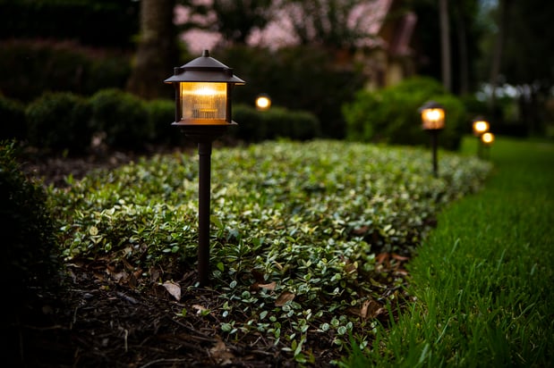 landscape lighting fixtures in a planting bed near a lawn