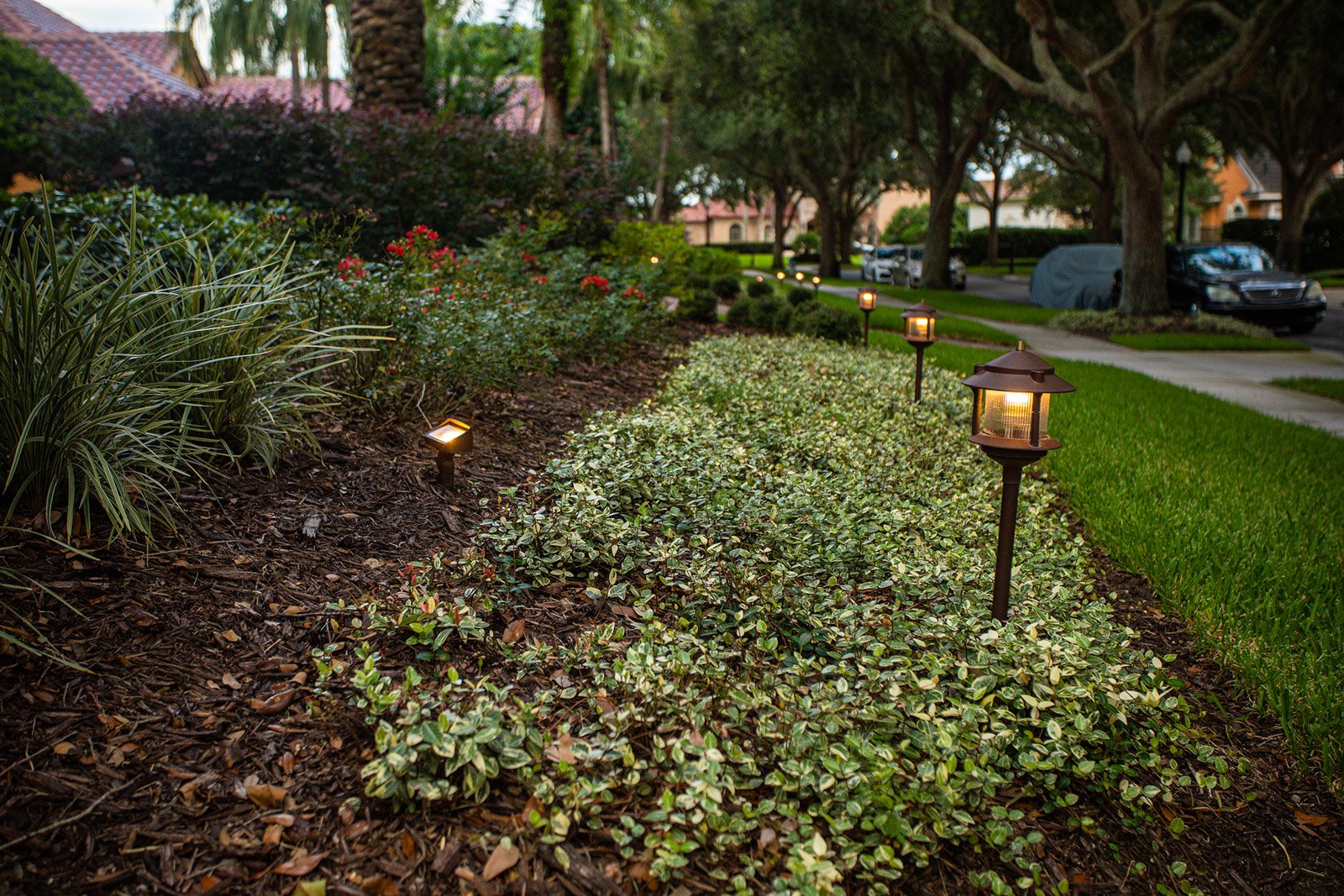 lawn landscape lighting plantings 4