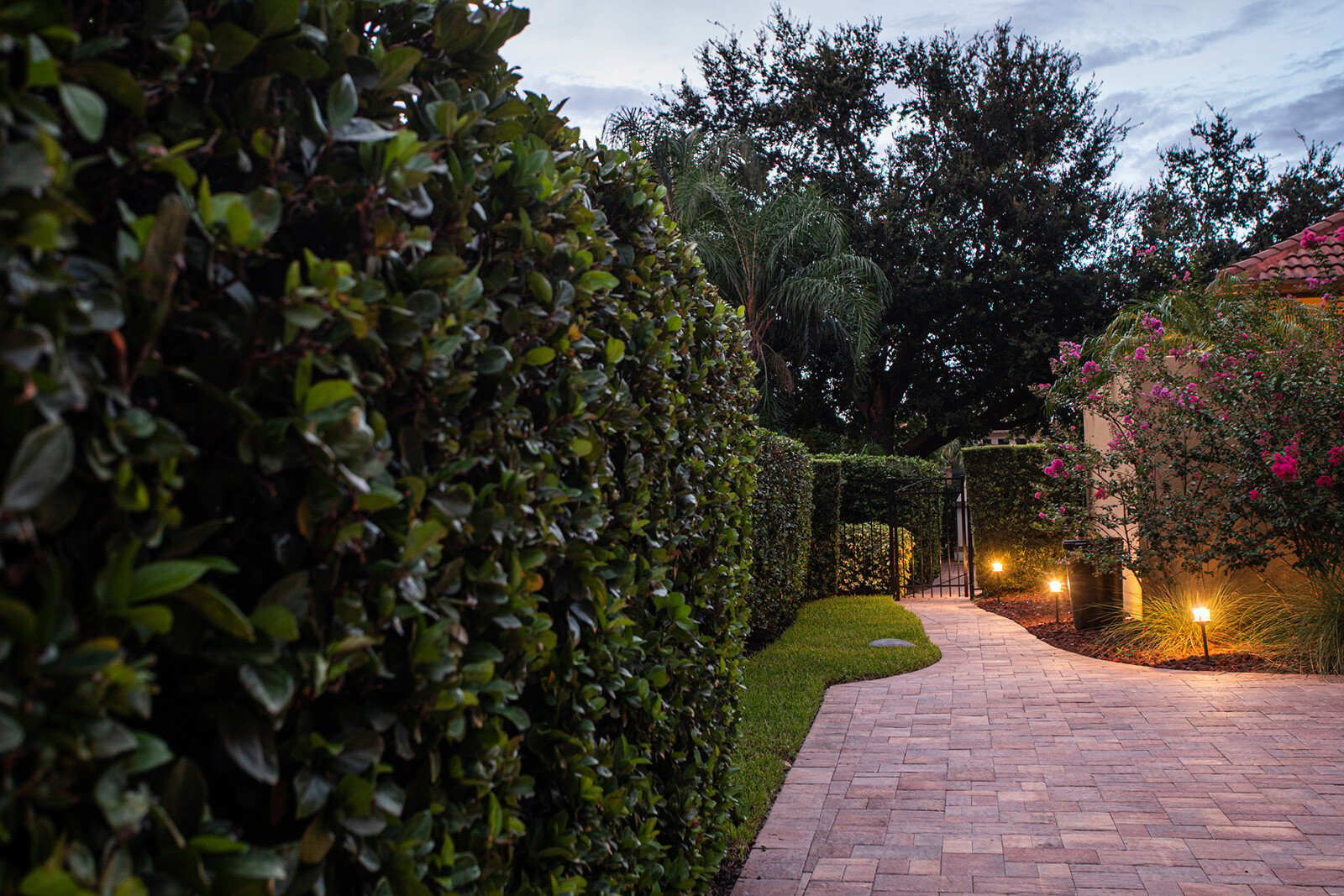 paver walkway with landscape lighting