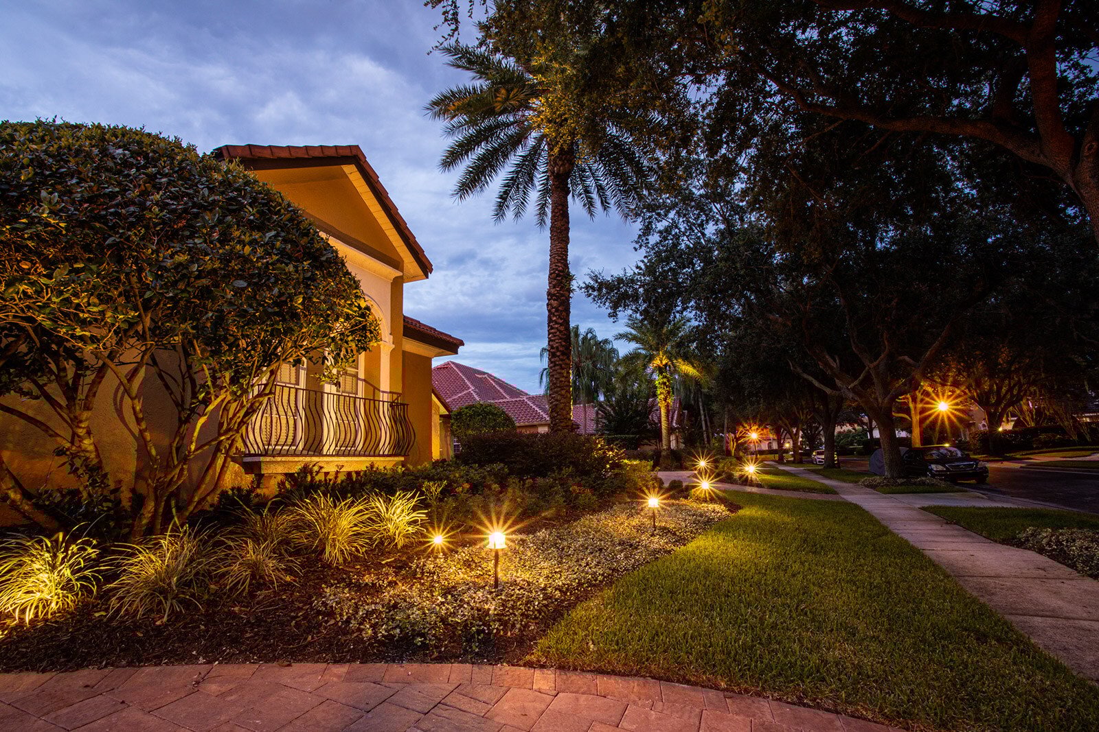 landscape lighting around plants and walkway