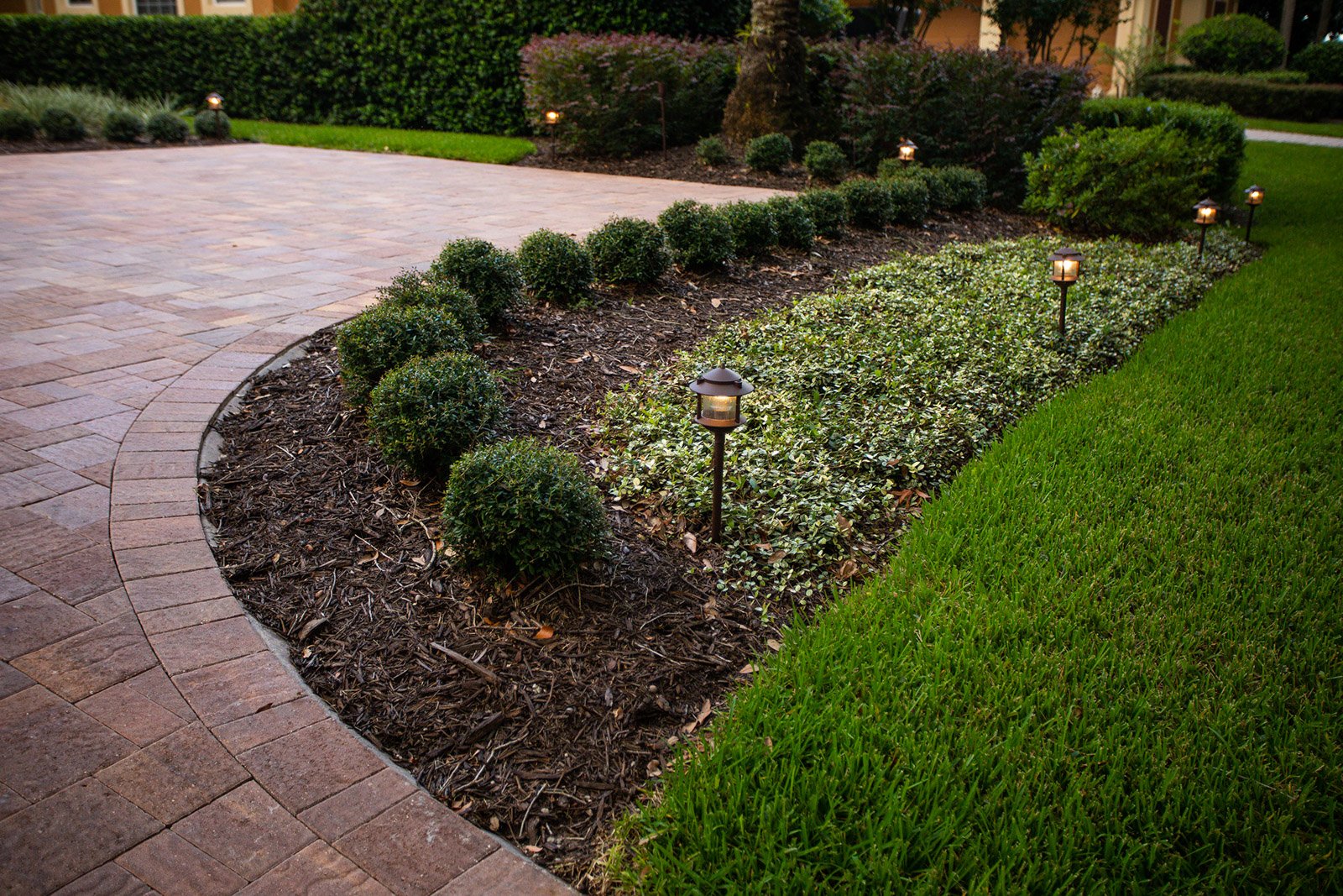 Landscape lighting near walkway and plants