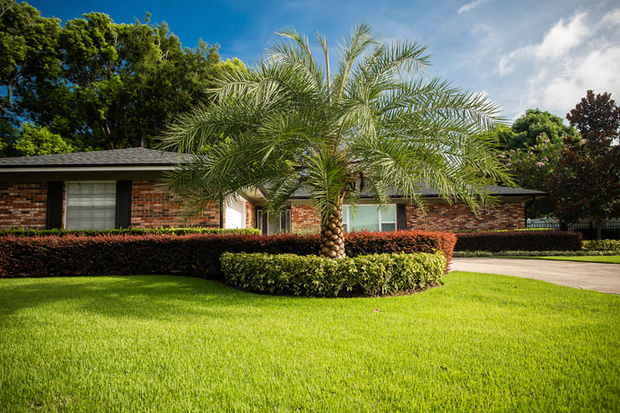 Beautiful lawn cared for by Ground Source in Orlando, FL