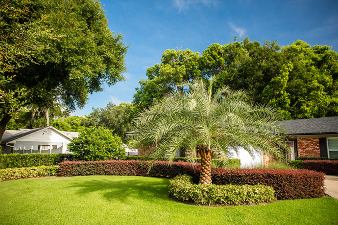 Florida front yard landscape plantings