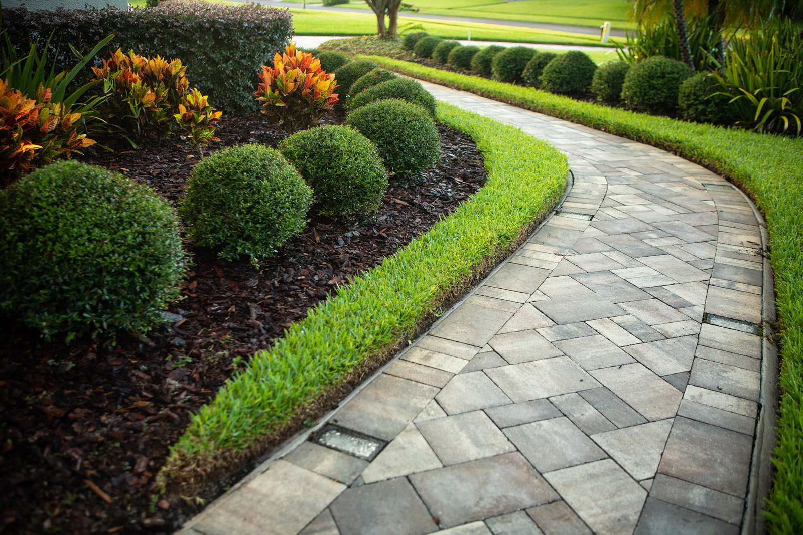 lawn plantings paver walkway 3