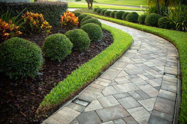 walkway lined with grass and plantings