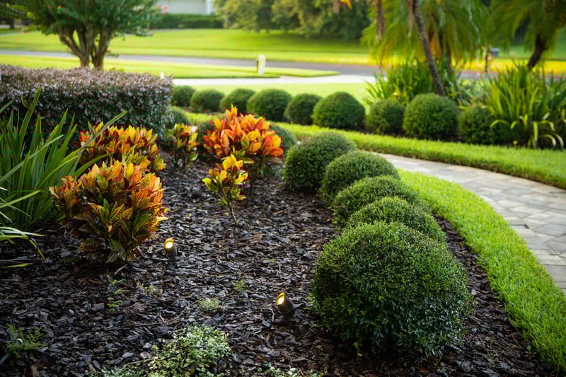 lawn plantings with drip irrigation