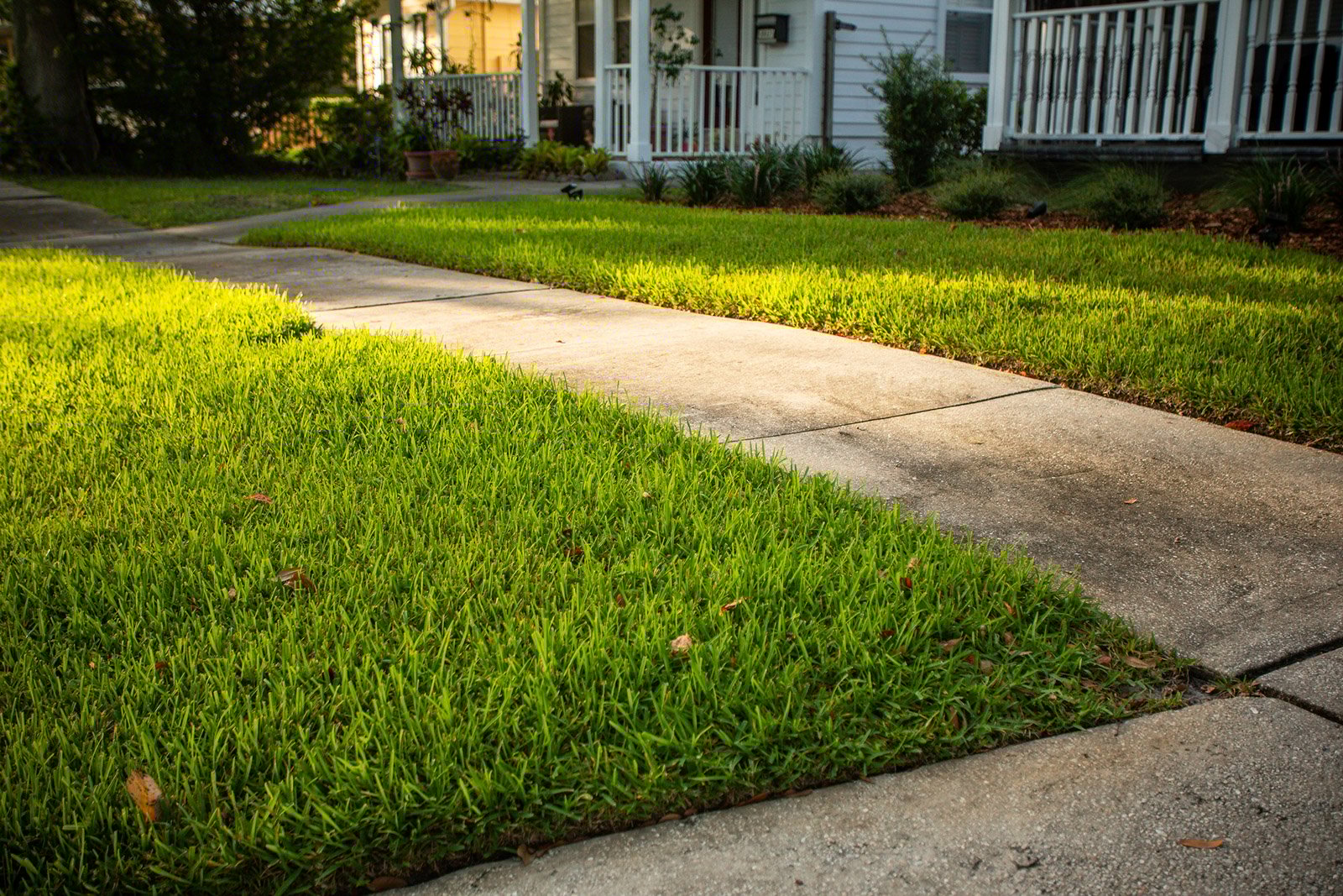 Nice lawn with irrigation maintenance