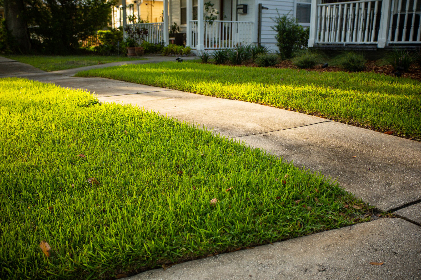 Nice lawn with irrigation maintenance