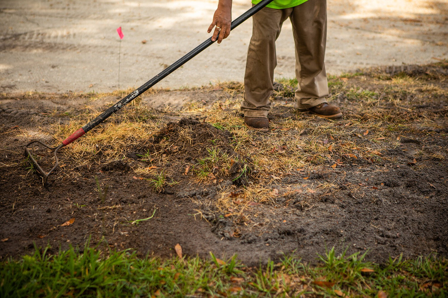 Raking dead lawn material up to prepare for new sod