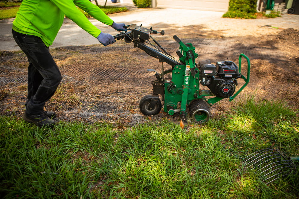 dead lawn sod remover