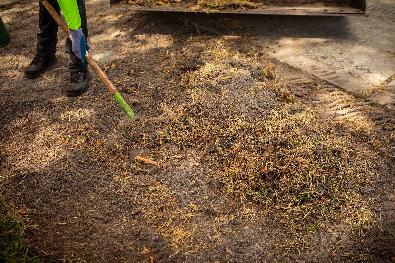 Repairing a dead lawn