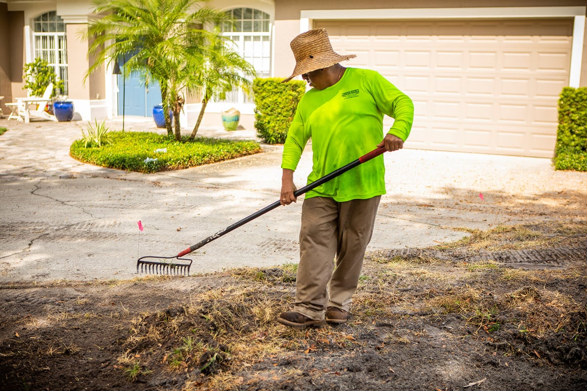 sod installation team rakes up weeds and dead grass