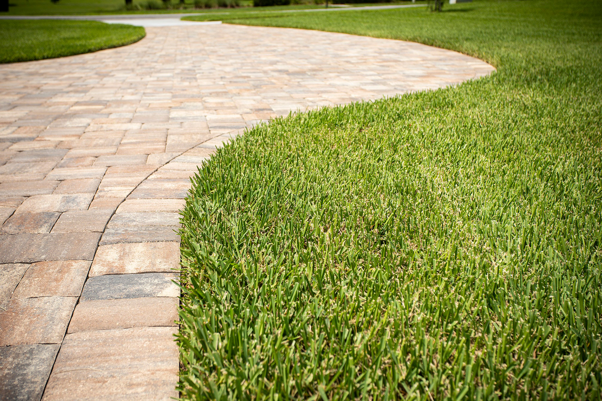 paver walkway with curves installed by professional