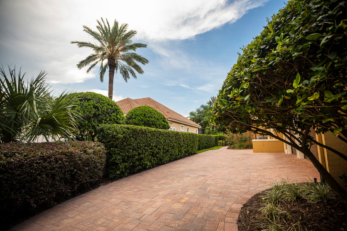 paver driveway lined with bushes and plantings