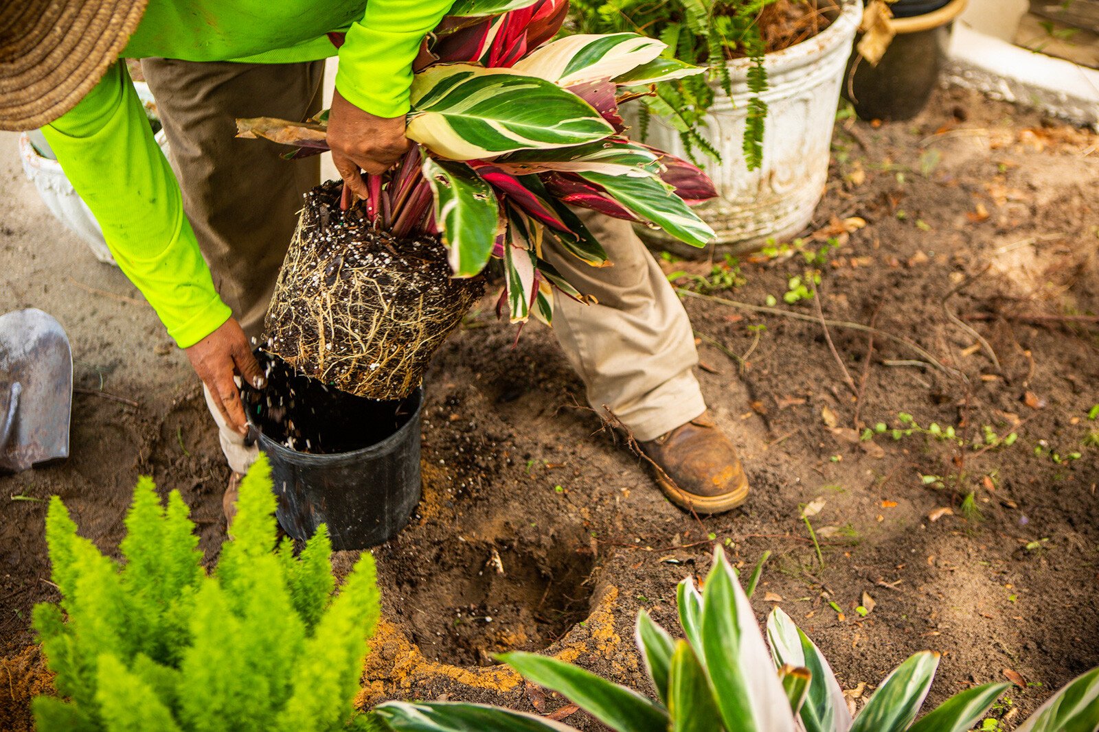 planting team 4