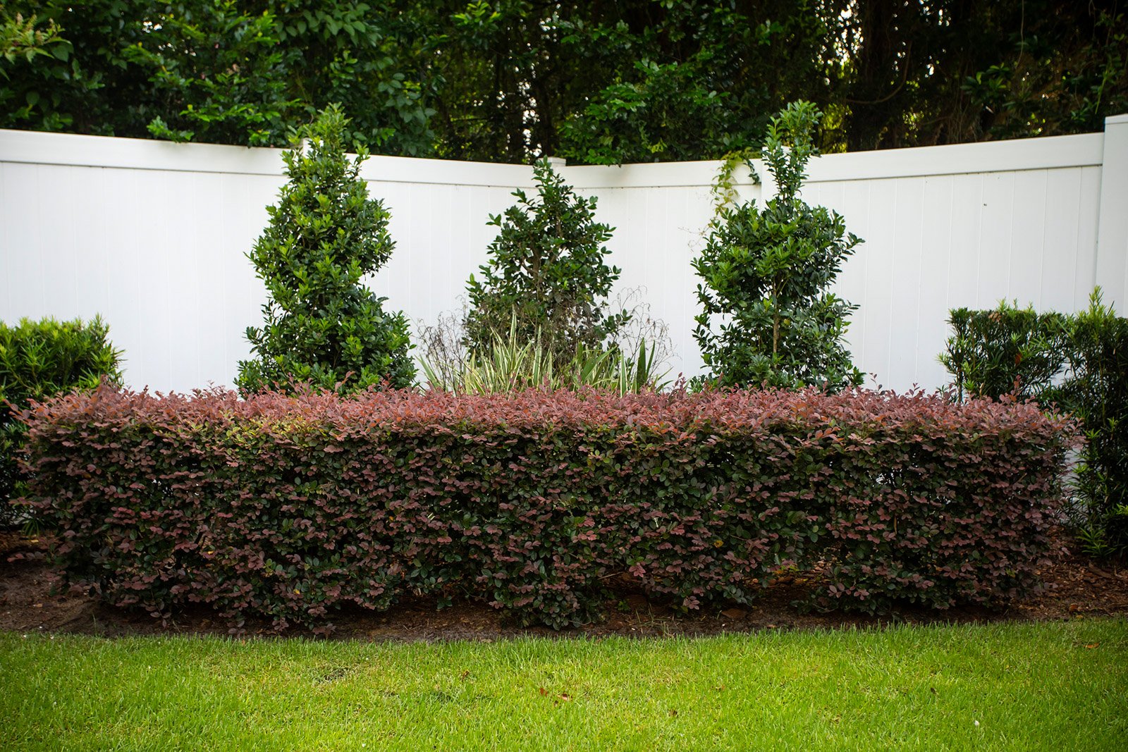 plantings 370