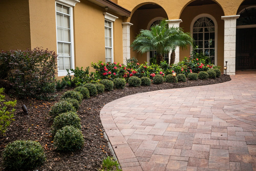 front yard landscaping plants and walkway