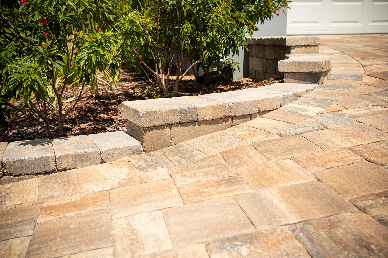 plantings paver wall 2